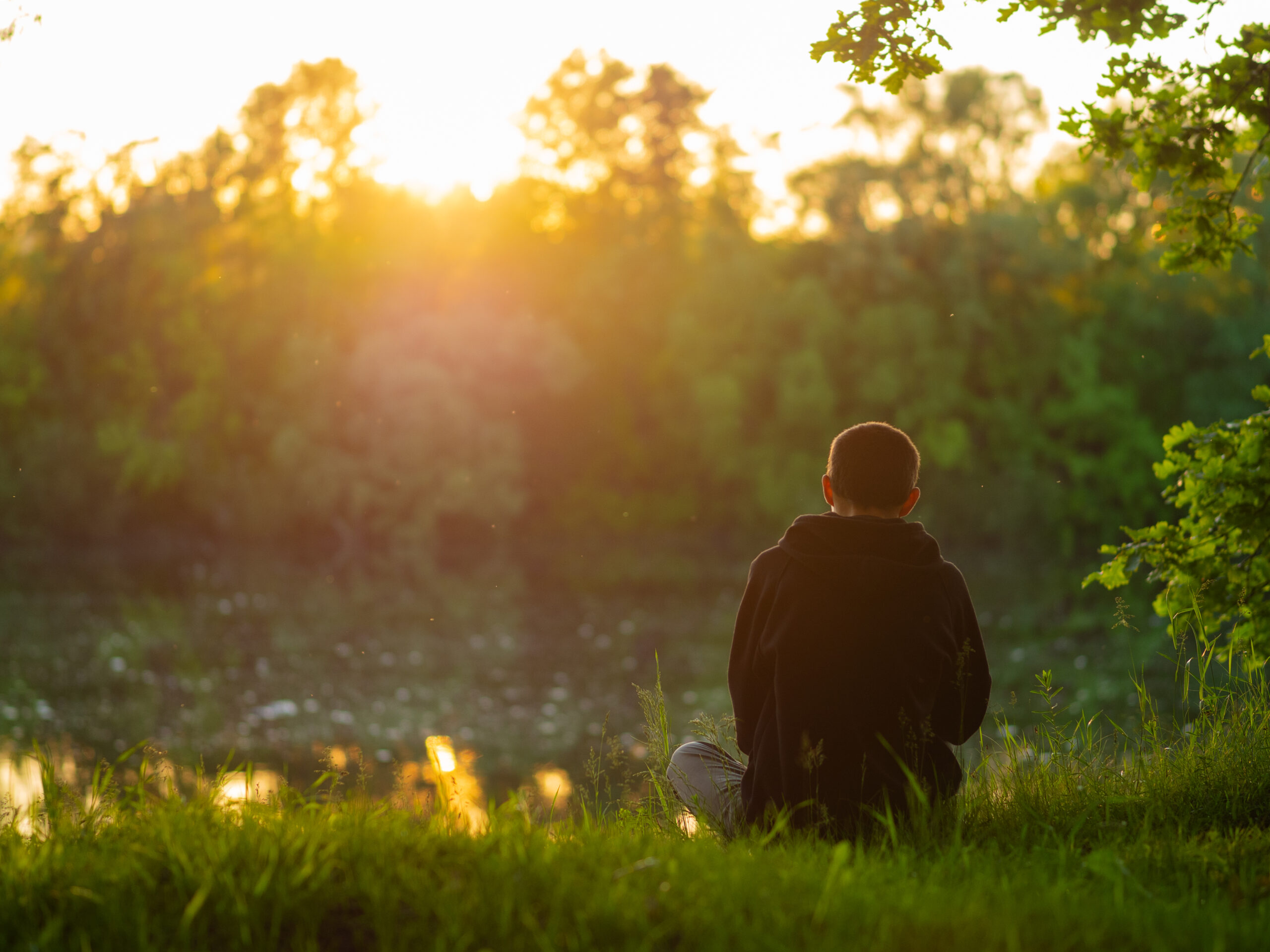 A man is sitting on the grass in the forest at sunset. Back view. Enjoy nature and freedom