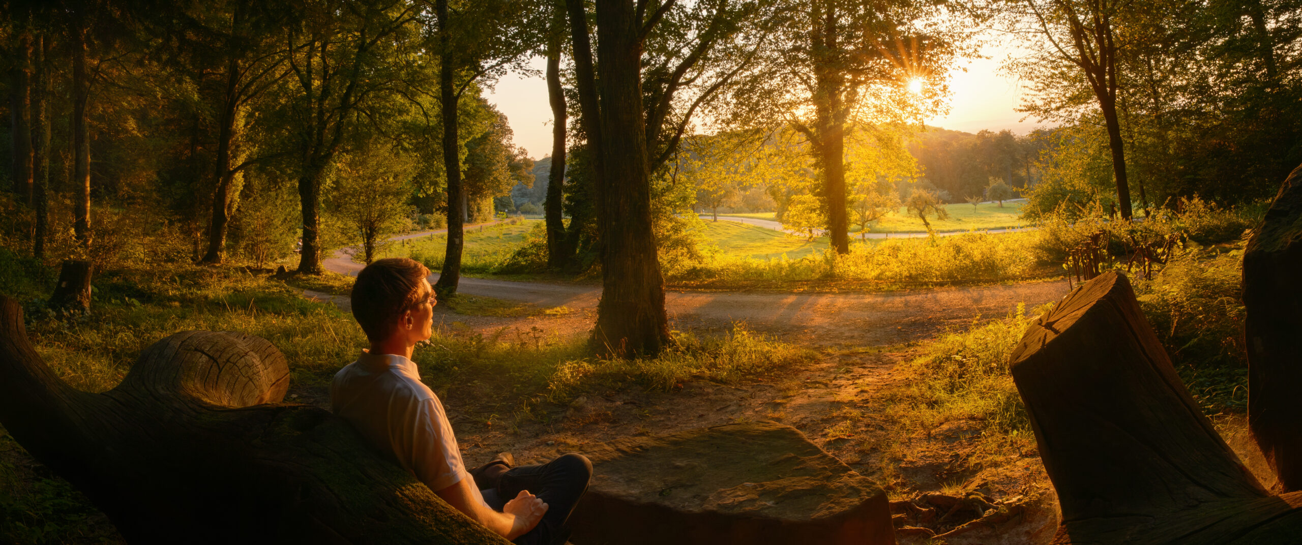 A man sitting on a bench and watching the sunset